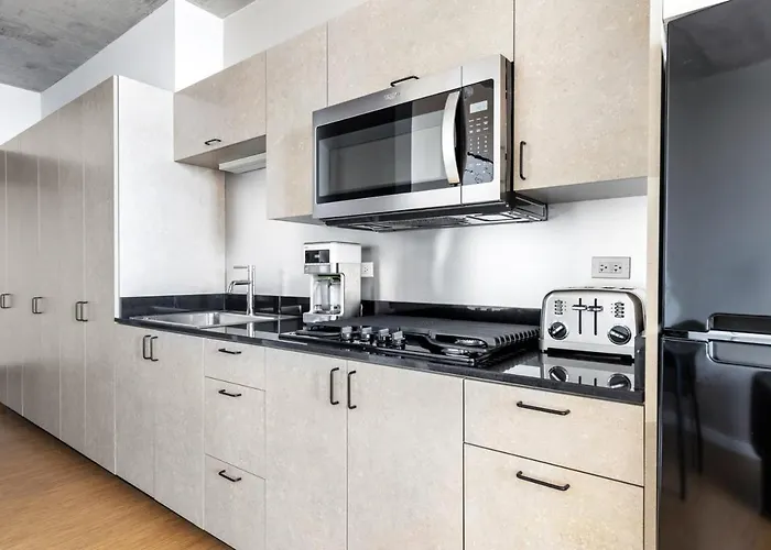 Lincoln Park W Wd Nr L New Chi-316 Apartment Chicago